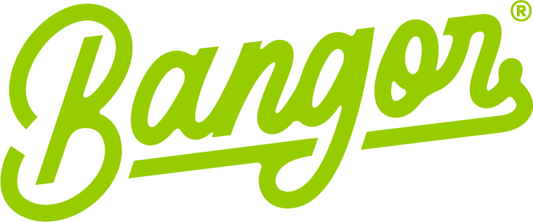 BURGER BANGOR